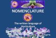NOMENCLATURE - WordPress.com · The Written Language of Horticulture To write the names of orchids correctly we must understand the differences between species and hybrids, know the
