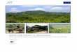 BASELINE STUDY 4, MYANMAR - Online Burma Library · The European Commission (EC) published a Forest Law Enforcement, Governance and Trade (FLEGT) Action Plan in 2003. FLEGT aims not