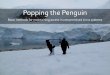 Popping the Penguin - SecTor 2018 · Popping the Penguin Basic methods for maintaining access in compromised Linux systems. Me ... Rsyslog/syslog-ng Central repo SIEM. Logs: Event