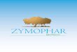 zymophar.comzymophar.com/docs/catalogue-en.pdf · Argan Oil Cosmetic Arganland Properties : Argan oil is rich in essential fatty acids (Omega 3 and 6), tocopherols (vitamin E) and