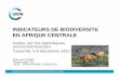 INDICATEURS DE BIODIVERSITE EN AFRIQUE …unstats.un.org/unsd/environment/envpdf/UNSD_Yaounde_Workshop... · l’importance capitale du développement d’indicateurs ... – le changement