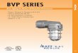 BVP SERIES - Lumitron Lighting · B . V P. BVP SERIES. Brass Lighting for Marine and Hazardous Environments • Class I, Division 2, Groups A, B, C & D • Zone 2, Group IIA, IIB,