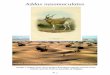 Addax nasomaculatus - cms.int · (Lamarche, 1980; Dragesco-Joffe, 1993). 2.1.3. Social behaviour Addax generally live in small herds of up to 15 animals, composed of males and females