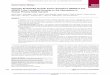 Research Vascular Endothelial Growth Factor …clincancerres.aacrjournals.org/content/clincanres/16/14/3548.full.pdf · cediranib. Cediranib is a potent inhibitor of VEGF signal-ing,