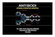 Antibodi Semester 1 .ppt [Read-Only] - ocw.usu.ac.idocw.usu.ac.id/course/download/...of-cell-2/bbc215_slide_antibodi.pdf · – Bereaksi den gggpan determinan Anti gen dan hapten