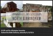 BROWNFIELDS (BF) CASE STUDY: NORTH BIRMINGHAM · BROWNFIELDS (BF) CASE STUDY: NORTH BIRMINGHAM ... • Formal report with 85 BF sites captured property photography, location, acreage,