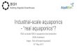 Industrial-scale aquaponics “real aquaponics“? - .Industrial-scale aquaponics - “real aquaponics“?