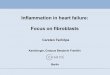 Inflammation in heartfailure: Focus on fibroblasts .Carsten Tsch¶pe. Kardiologie, Campus Benjamin