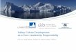 Safety Culture Development as a Core Leadership Responsibility · 2017-04-10 · Safety Culture Development as a Core Leadership Responsibility Prof. Dr. Tanja Manser, Institute for