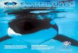 Magazine of the International Marine Animal Trainers ... · Magazine of the International Marine Animal Trainers’ Association IN THIS ISSUE: BEYOND BASICS: TRAINING DOLPHINS 