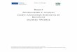 Report Workpackage 2: Analysis Leader: Universitat ... · ‘This project has been funded with support from the European Commission. This publication [communication] reflects the