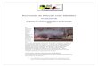 Prevención de Silicosis entre Albañiles  · Web viewCuando los albañiles asierran productos secos de hormigón, como bloques de la albañilería, ladrillos, ... (transferencia