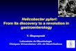 Helicobacter pylori - Université catholique de Louvain .Helicobacter pylori: From its discovery
