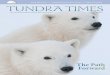 TUNDRA TIMES - Polar Bears International · 4 POLAR BEARS INTERNATIONAL |  Fall 2013 | TUNDRA TIMES 5 I spent 23 seasons at the cape: 17 with the Tundra …