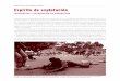 Small Arms Survey 2011: Resumen del Capítulo 6 … · Small Arms Survey 2011: Resumen del Capítulo 6 Espíritu de explotación INSEGURIDAD Y DEPREDACIÓN EN MADAGASCAR Las instituciones
