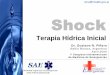 Shock Terapia Hídrica Inicial - reeme.arizona.edu terapia hidrica1.pdf · Cristaloides isotónicos • Lo bueno: – No tóxicos, seguros, arreactivos – SF y RL ampliamente utilizados,