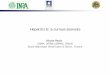 Hepatitis E: a curious zoonosis - VHPB News · Hepatitis E: a curious zoonosis Nicole Pavio (INRA, AFSSA LERPAZ, ENVA) Ecole Nationale Veterinaire d’Alfort, France