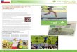 Presentación de PowerPoint - Herbalife - Chileempresa.herbalife.cl/Content/es-CL/pdf/hlaccion/abr_cl2013.pdf · Herbalife Auspiciador Oficial de la Maratón de Santiago Herbalife