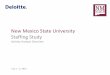 New Mexico State University Staffing Studystaffingstudy.nmsu.edu/wp-content/uploads/sites/77/2015/07/NMSU... · New Mexico State University Staffing Study. Activity Analysis Overview