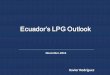Ecuador’s LPG Outlook - Markit · 2 value change for lpg in ecuador lpg supply in ecuador 2016 lpg production 2006-2016 lpg import lpg by region sales by province and sector lpg