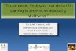 Patología arterial Multinivel y Multivaso - CACIcaci.org.ar/assets/uploads/palena-mariano-17-48.pdf · PanVascular Medicine. 2014 Pacientes con CLI . Salvar la Pierna ? Salvar el