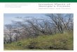 Georgia Forestry Commission Georgia’s Forests · A joint educational publication of Georgia Forestry Commission University of Georgia U. S. Forest Service Invasive Plants of Georgia’s
