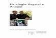 Fisiologia Vegetal e Animal - OER@AVU Home · Fisiologia Vegetal e Animal Preparado por Rémi RAKOTONDRADONA Traduzido para Português por Benjamim BANDEIRA African Virtual university