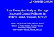 Risk Perception Study on Garbage Issue and Coastal ...sedac.ciesin.columbia.edu/openmtg/docs/ohe.pdf · Risk Perception Study on Garbage Issue and Coastal Pollution in Holbox Island,