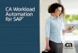 CA Workload Automation for SAP · SAP Solution Manager proporciona un entorno centralizado para que los ... puede implementar políticas de seguridad externas que brinden un control