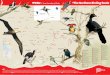 A True Paradise of Birds ˜The Northern Birding Routecomeltur.com/docs/northern_birding_route_map.pdf · ˜PERU A True Paradise of Birds ˜The Northern Birding Route ˜T ... Eten
