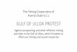 GULF OF ULLOA PROTEST - Amazon S3de... · The Fishing Cooperative of Puerto Chale S.C.L GULF OF ULLOA PROTEST Against prospecting and other offshore mining activities in the Gulf