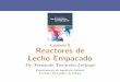Cap´ıtulo 9 Reactores de Lecho Empacado - …iqcelaya.itc.mx/~fernando/ABC_Reactores/Presentaciones/ABC_React... · Cap´ıtulo 9 Reactores de Lecho Empacado Dr. Fernando Tiscaren˜o