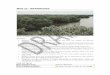 MVG 23 Mangroves DRAFT - Department of the … · Open shrubland (tall, mid, low) Number of IBRA regions 28 Most extensive in IBRA region ... All mangroves are flowering plants, including
