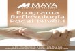 PROGRAMA REFLEXO-I 2013 - centro-maya.comcentro-maya.com/programas/reflexo/16-PROGRAMA... · - Maniobras de regulación: diafragma, Plexo solar, … Observaciones que debemos efectuar