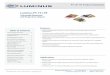 PT-121-TE Datasheet - download.luminus.com€¦ · Understanding Luminus LED Test Specifications Every Luminus LED is extensively tested at full current to ensure that it meets the