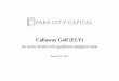 Callaway Golf (ELY) - Park City Capitalparkcitycap.com/download/i/mark_dl/u/4012117970/4604974317/ELY... · Company Description Callaway Golf is a leading global golf equipment manufacturer