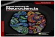 Revista Mexicana de Neurocienciarevmexneuroci.com/wp-content/uploads/2016/11/RevMexNeu-No-6-No… · Funciones ejecutivas y decodificación grafema - fonema ... La variable con mayor
