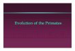 Evolution of the Primates - Knox Collegecourses.knox.edu/anso101/04Primate Adapt.pdf · Lemur vs. Anthropoid Social uses of smell. Vision Prosimians and Anthropoids. Eyes and field