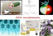 DNA recombinante - [DePa] Departamento de …depa.fquim.unam.mx/amyd/archivero/23DNArecomb_25804.pdf · herramientas para estudiar los genes y sus productos Insertar en vector de