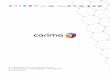 Venture for tomorrow - Carima – FLUX OF 3D … · Venture for tomorrow. carima DS-131 Specialized 3D DLP printer for dental . About Carima Carima is one of the world’s leading
