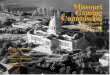Missouri Gaming Commission · gaming tax rate of adjoining states and the effects of the loss limits imposed by subdivision (3) of section 313.805 on the competitiveness of the gaming