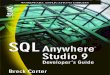 SQL Anywhere Studio 9 Developer's Guide - sumeshcodeguru.shikshainfosys.com/doc/SQL4.pdf · Preface There s a good reason that SQL Anywhere has over 70% of the mobile database market