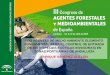 LOS AGENTES DE MEDIO AMBIENTE ELEMENTO …aamaa.es/3CAFMA/comunicaciones/CO12.pdf · amenaza potencial para ecosistemas naturales con gran importancia para la preservación de la