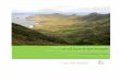 Conservaci n y restauraci n ecol gica ó de las islas de ... Detailed Final Report_0.pdf · Claros sin invasión y con invasión de malezas Maqui-Mora (A. chilenisis y R. ulmifolius)