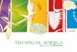 TROPICAL JEWELS grown in Colombia - Heliconias · Foreword The vast array of sizes, textures, shapes and colors of Colombia`s tropical flowers and foliage are an important complement