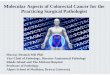 Molecular Aspects of Colorectal Cancer for the …pathology.massgeneral.org/HMS/GI-pdf-17/Tues/02 Mol Bio of... · Molecular Aspects of Colorectal Cancer for the Practicing Surgical