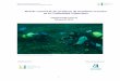 Red de control de las praderas de Posidonia oceanica por: Subvencionado por: 2 Memoria Voluntariado
