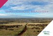 BACCHUS MARSH - Moorabool Shire Council EXECUTIVE SUMMARY 6 1 INTRODUCTION 11 Why a UGF for Bacchus Marsh? 11 What is the project? 14 Planning context 16 Growth context 18 Consultation20