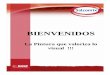 Presentacion de Salcomix Distribuidos marzo 2011- DBimportadoraducryl-bolivia.com/system/resources/frontend/pdf/... · MANUAL DE PRODUCTOS. Technical Sales Suport - Daniel Bracco