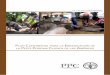 FAO PLAN CONTINENTAL - Agrocalidad · FAO PLAN CONTINENTAL Plan Continental Para la erradiCaCión de la Peste PorCina ClásiCa de las amériCas